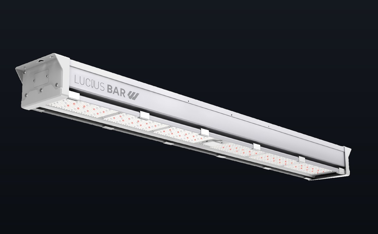 LED Bar RW