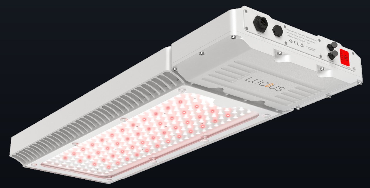 Compact Toplight